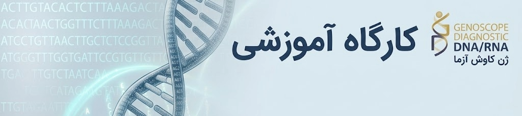 کارگاه ها